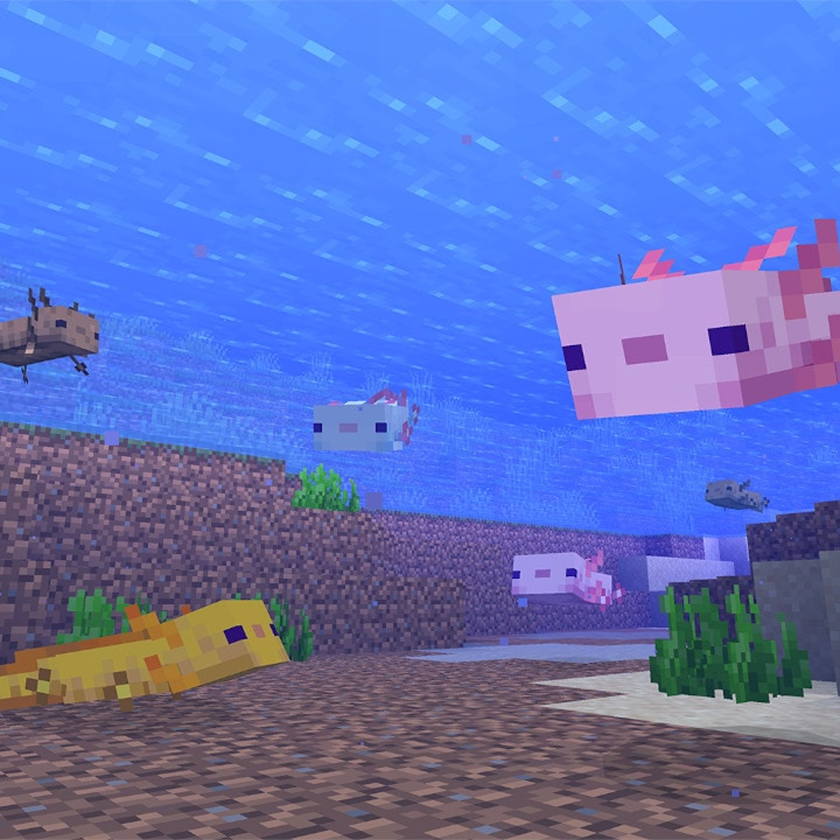 Minecraft Axo Blue Axolotl