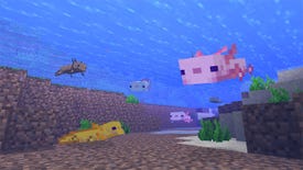 A screenshot from Minecraft's Caves & Cliffs update showing axolotls under water, looking happy, in various colours including pink, gold, brown and baby blue.