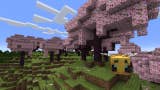 Image for Minecraft getting new cherry blossom biome in this year's big 1.20 update