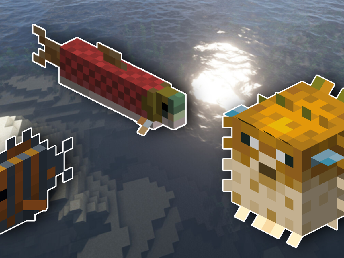 Minecraft Sl Mod Minecraft Salmon
