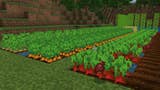 Minecraft - jak uprawiać rośliny