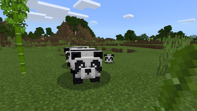 Minecraft voksenpandaer og en babypanda i Plains Biome nær bambus