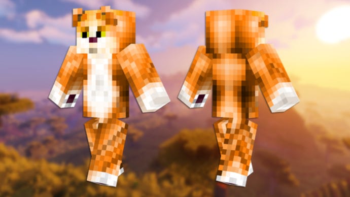 A front and back view of the Tabby Cat Minecraft skin.