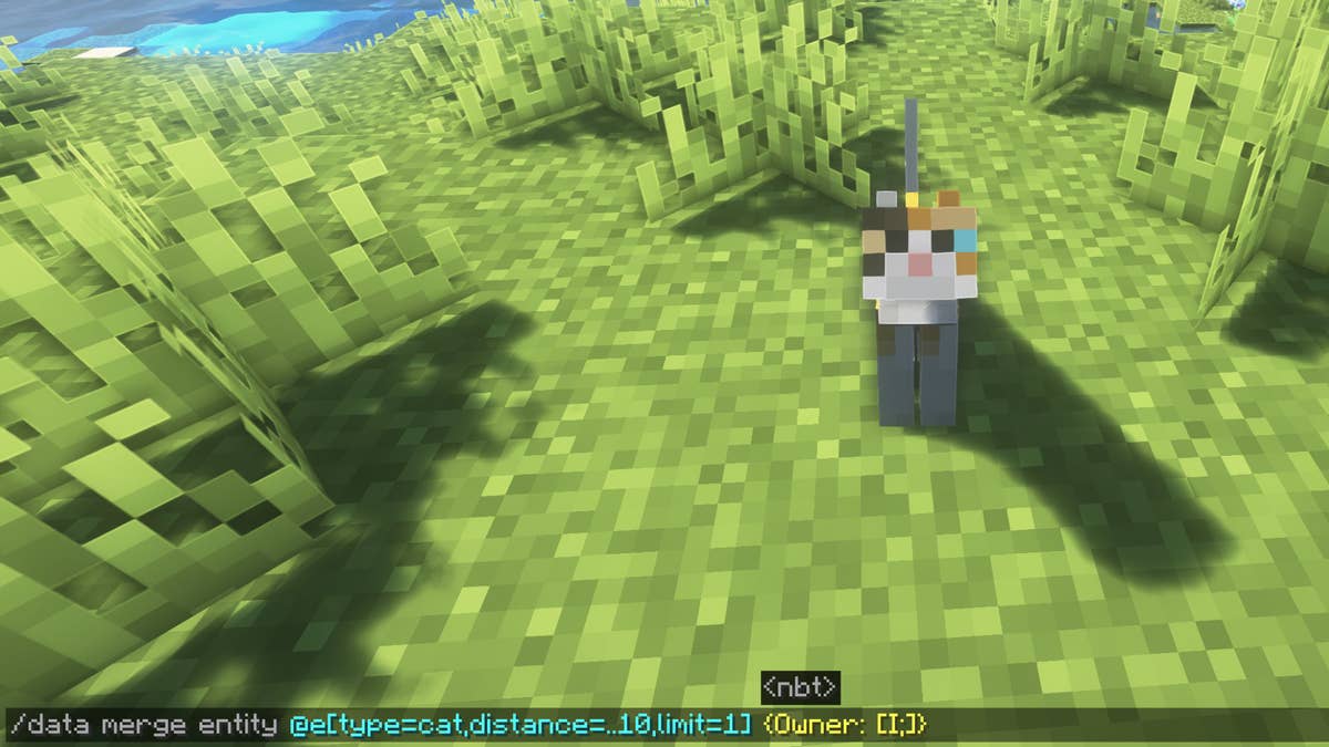 Minecraft Java Pet Pet Cat Minecraft