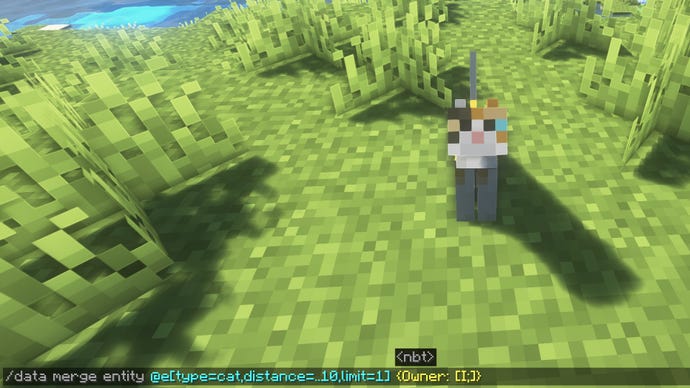 The player in Minecraft looks down at a cat and inputs a command which transfer's ownership of the pet to another player.