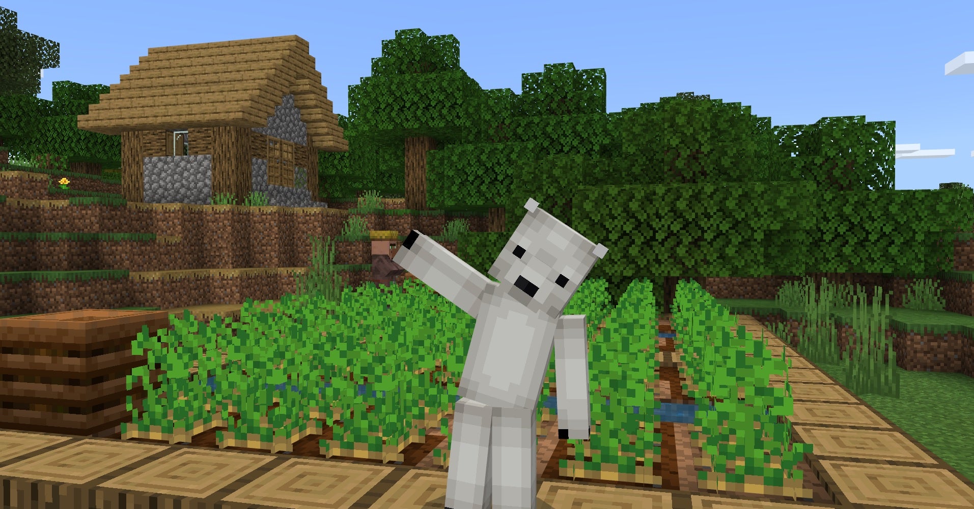 You can emote in Minecraft Bedrock Edition now