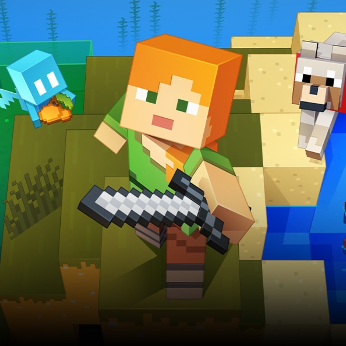 Minecraft Nation SMP Server – Discord