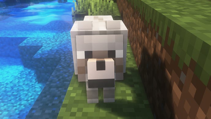 A wolf stands next to a body of water and looks up at the player in Minecraft.
