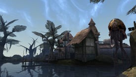 Playing Morrowind for the first time? A little work makes it look wonderful
