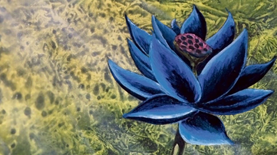 Magic: The Gathering Black Lotus card artwork