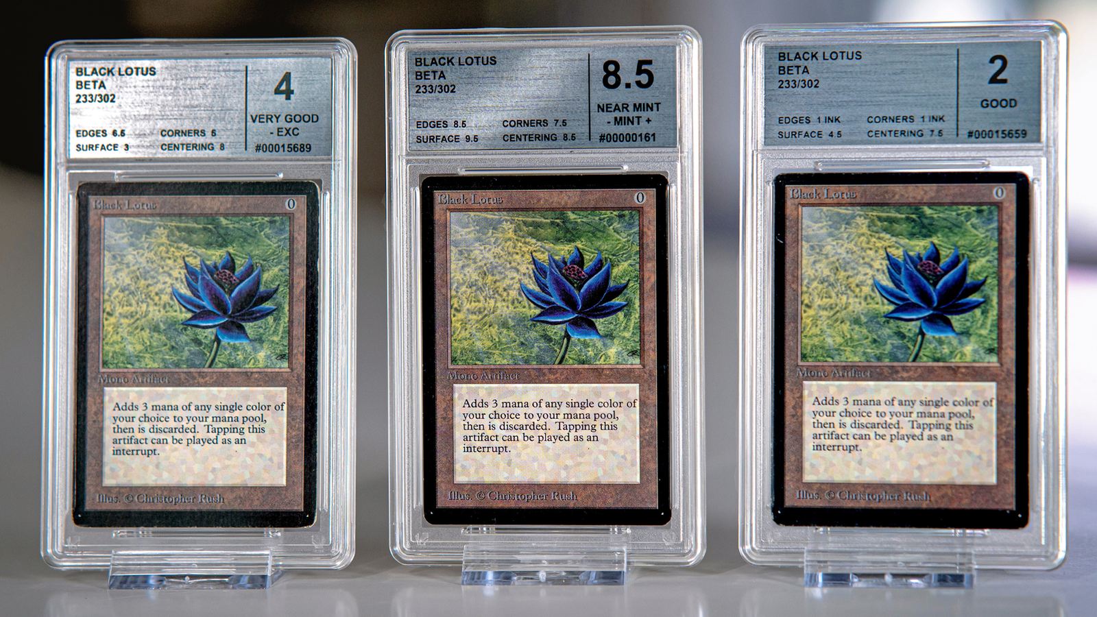 Once in a lifetime' Magic: The Gathering collection valued at includes three sets of Beta - with a trio of Black Lotus cards | Dicebreaker