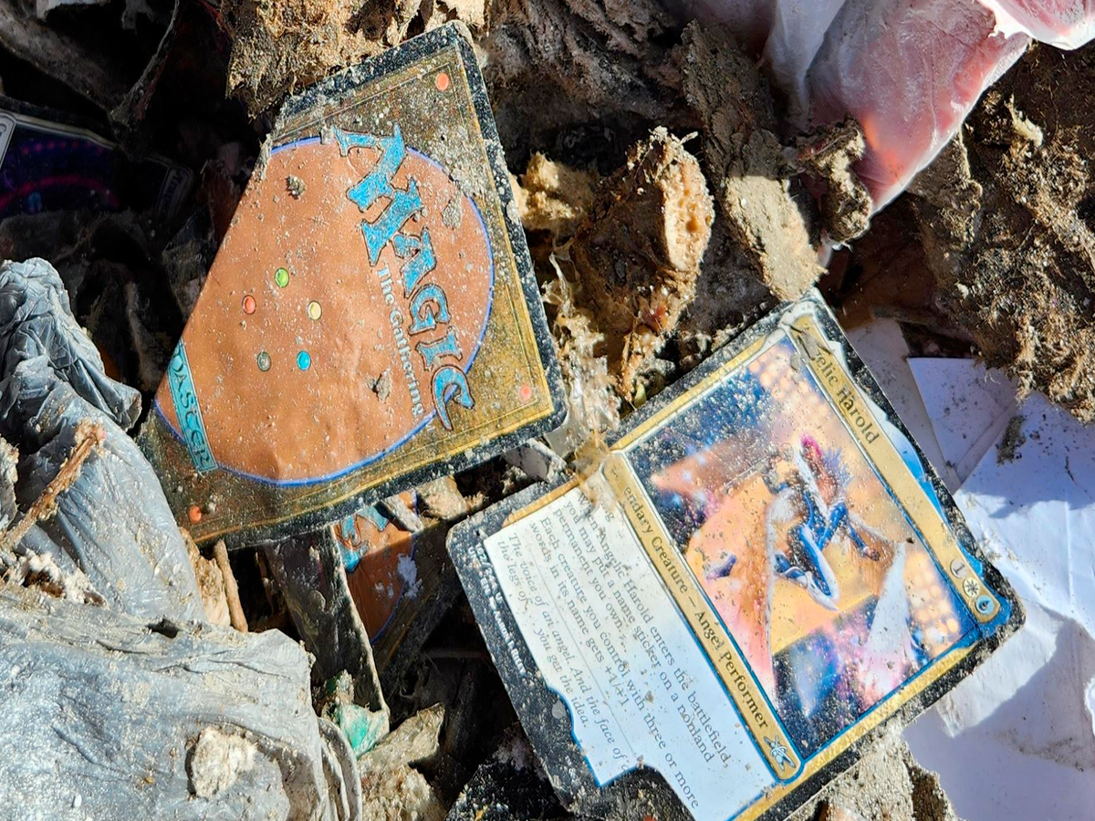 $100,000 worth of Magic cards destroyed in landfill