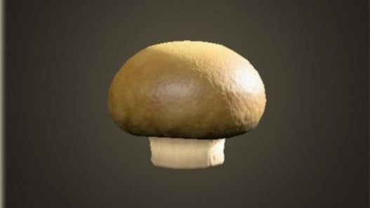 Animal Crossing Mushrooms How to get elegant, flat, rare, round and