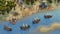 Age of Empires Online screenshot