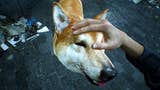 Na klar, ihr könnt die Hunde in Ghostwire: Tokyo streicheln…