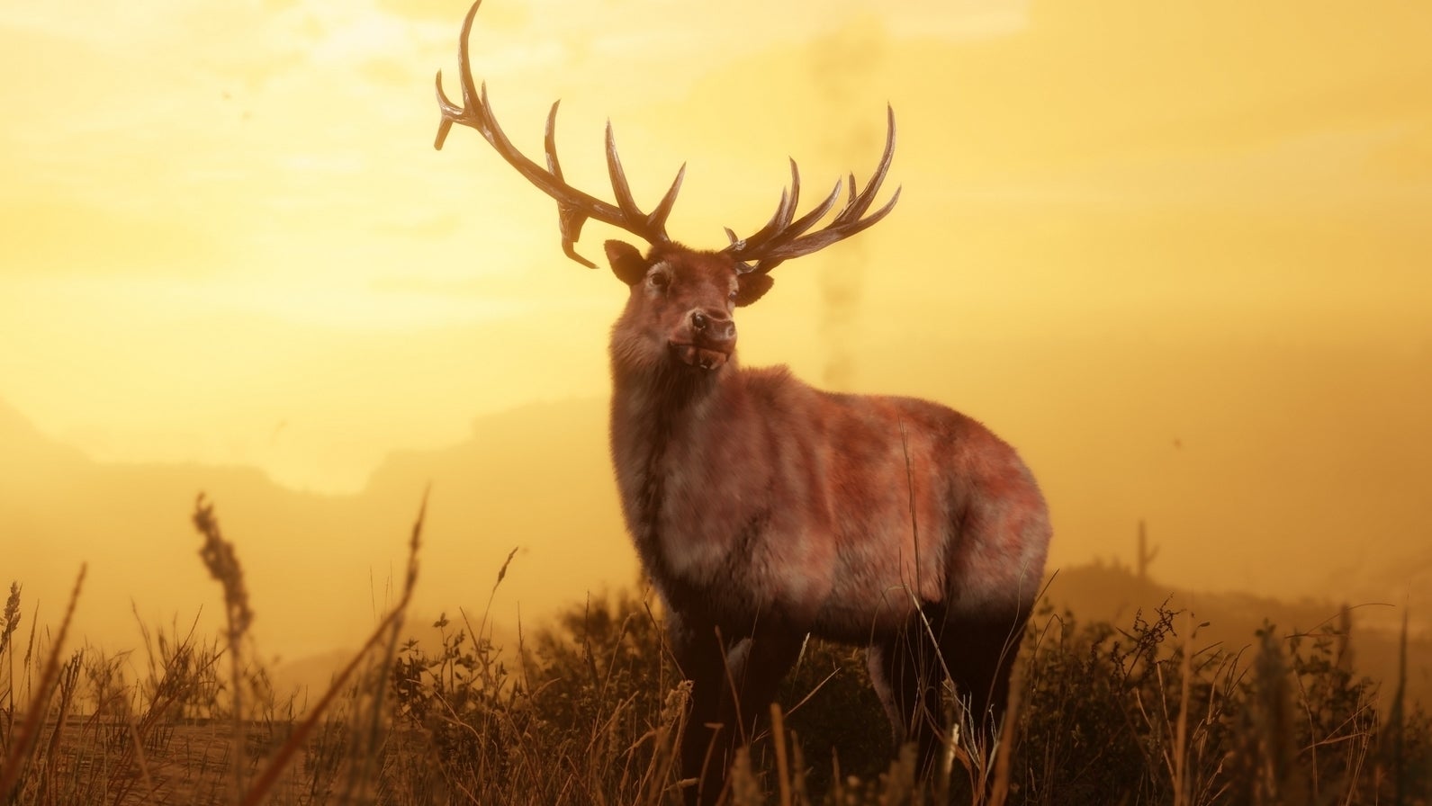 Red Dead Online Naturkundler, legendäre Tiere und mehr im neuen Update! Eurogamer.de