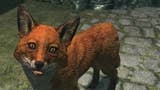 The Elder Scrolls V Skyrim e la verità sul mito delle volpi che portano a tesori nascosti