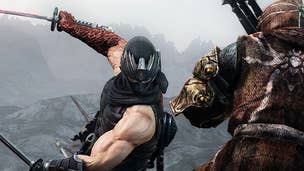 Team Ninja: "[Ninja Gaiden] Needs to be in the Shadows for a While"