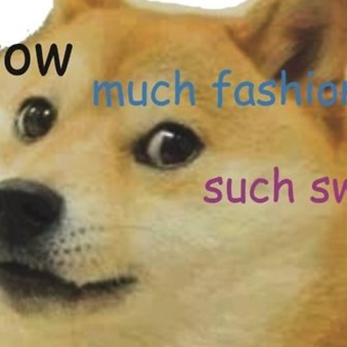 Doge Such Click Doge Meme So Wow