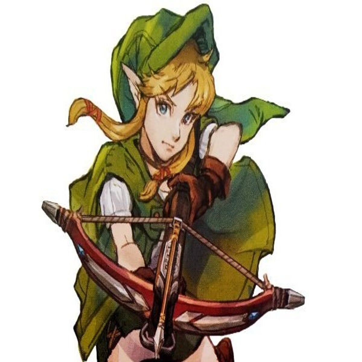 The Legend of Zelda Link illustration, Hyrule Warriors Universe of