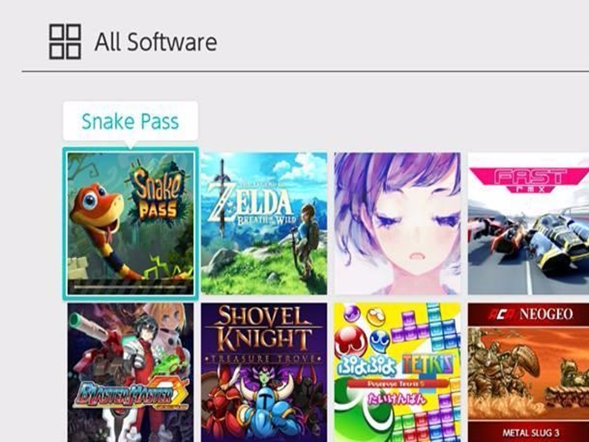 Snake Game, Nintendo Switch download software, Games