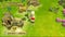 A Kingdom for Keflings screenshot
