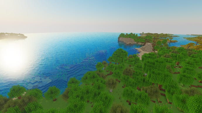 A bird's eye view of a Minecraft forest on the edge of an ocean.