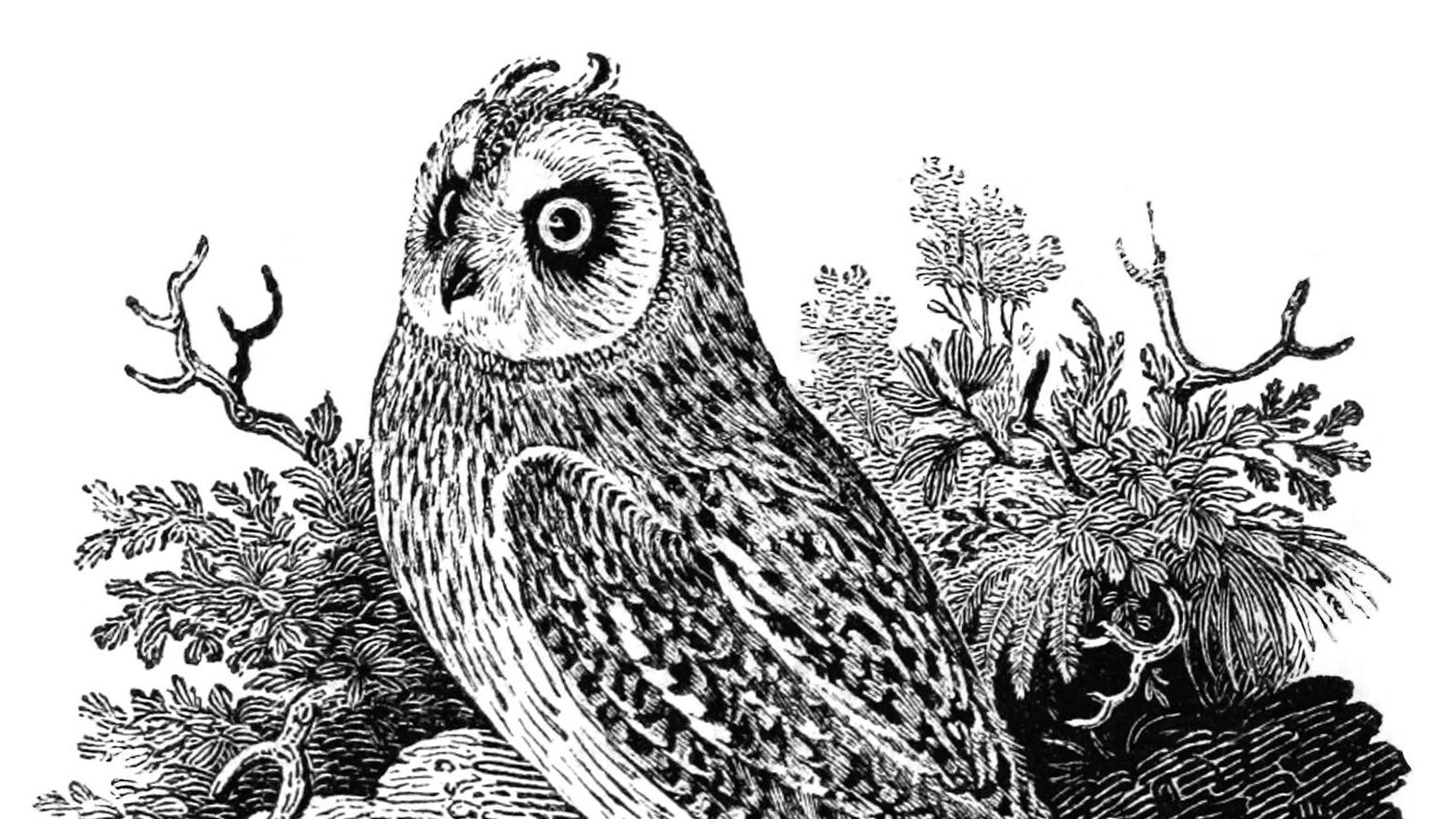 These are the best push notifications I get on my phone