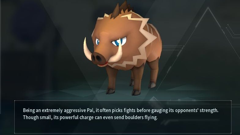 Экран Paldeck Rushoar