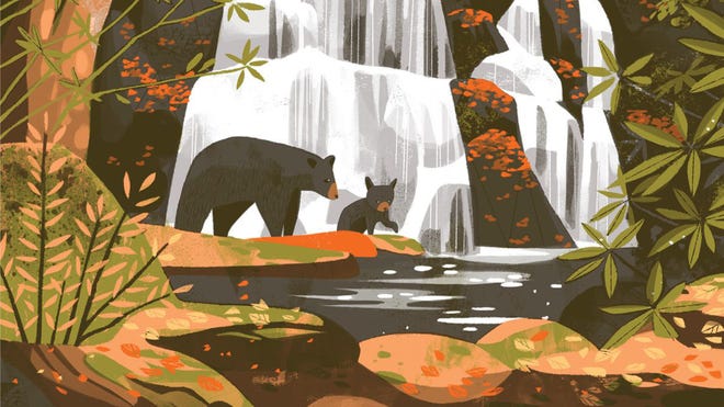 Parks board game artwork