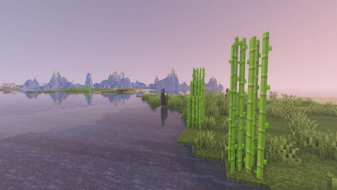 Some sugarcane on a coast in Minecraft.