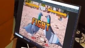 Pekken = Tekken with pigeons