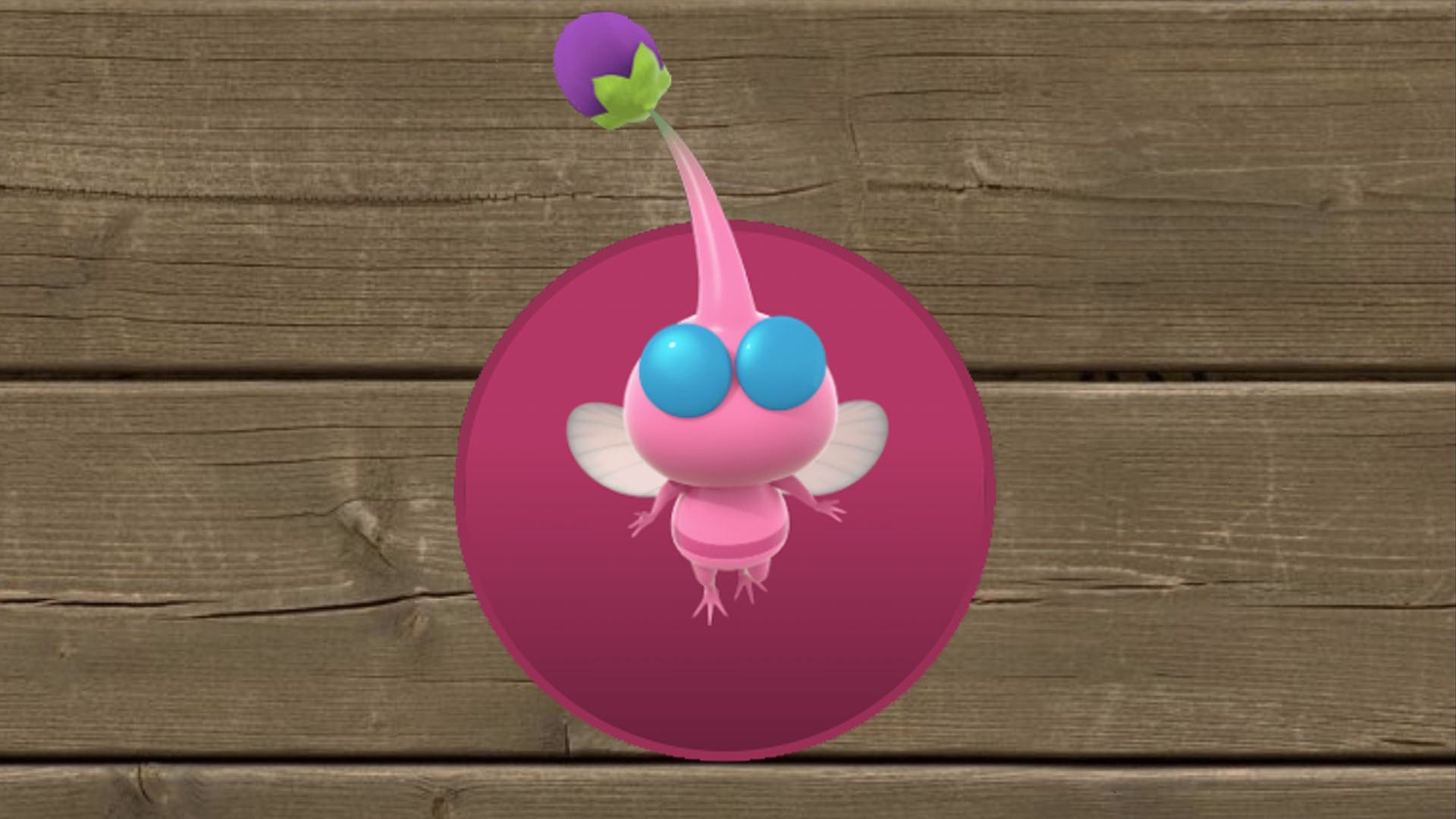 How to get Winged Pikmin in Pikmin 4