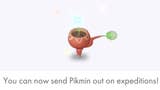 Immagine di Pikmin Bloom Spedizioni: Come inviare i Pikmin in Spedizione e ottenere Cartoline