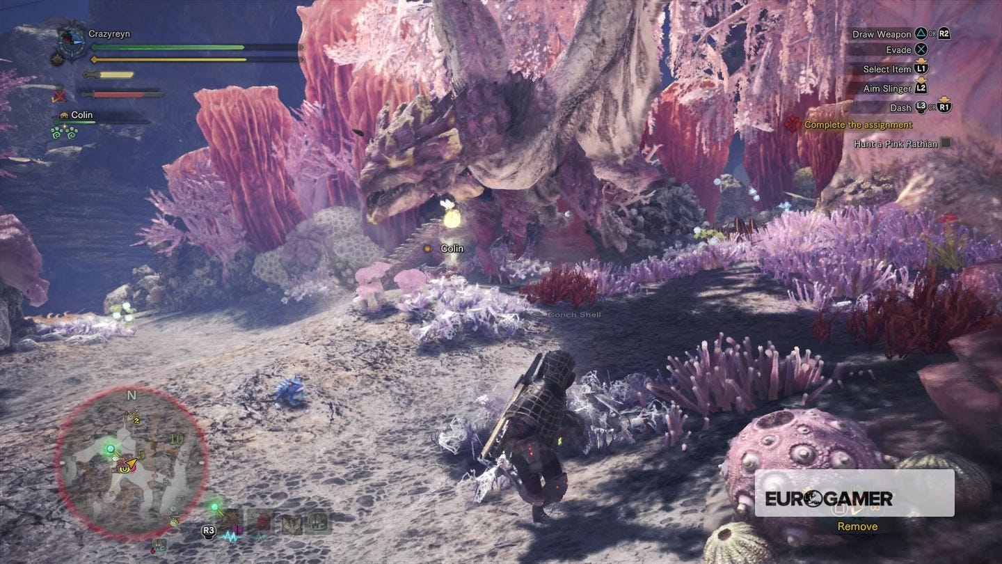 Pink Rathain World Monster Hunter World - ??? Rathian Tracks and Pink Rathian strategy ...