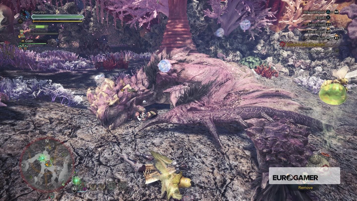 Monster Hunter World Search For Rathian Tracks Monster Hunter World - ??? Rathian Tracks and Pink Rathian strategy