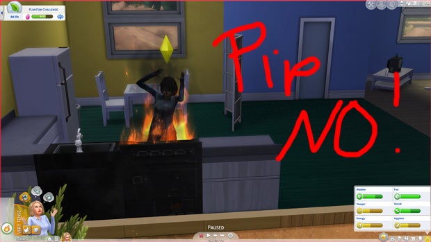 Image for Pipwick Papers: Pip's last Supporter Post