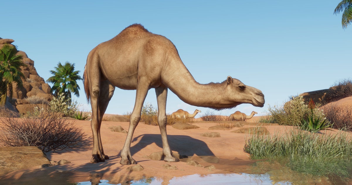 Planet Zoo feels the heat later this month with new Arid Animal Pack DLC