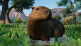 Capybara, platypus, and more coming to Planet Zoo in new Wetlands DLC