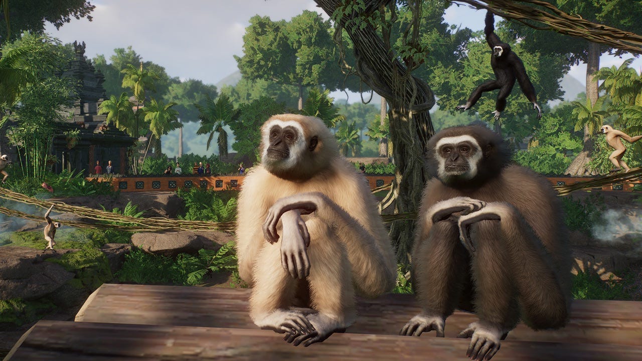 Planet Zoo Heads To The Rainforest In April s Tropical Pack Expansion planet-zoo-heads-to-the-rainforest-in-april-s-tropical-pack-expansion