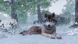 Planet Zoo reviews round-up, all the scores