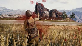 Playerunknown's Battlegrounds investigating causes of connection problems