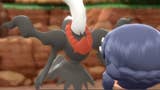 How to get Darkrai and Member Card in Pokémon Brilliant Diamond and Shining Pearl explained