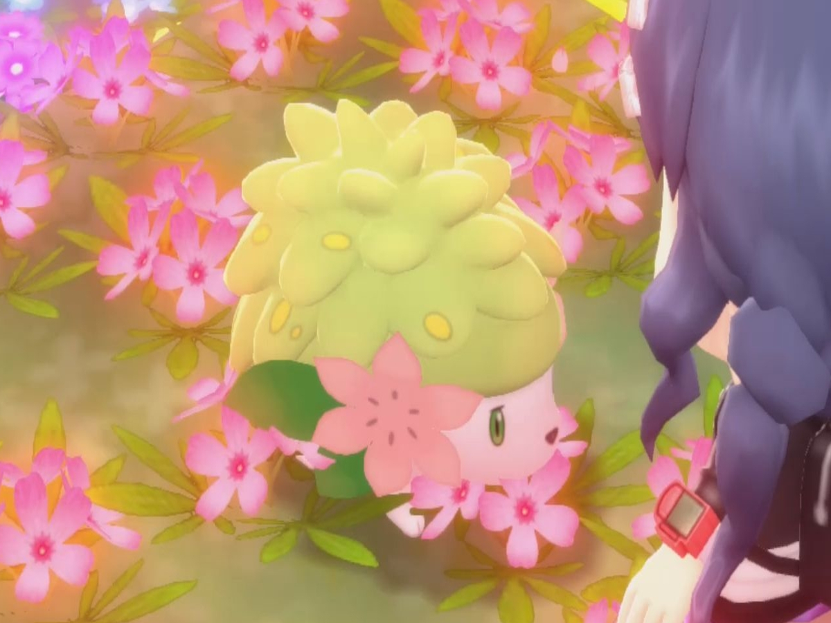 Shaymin Added to Brilliant Diamond and Shining Pearl, Can Be Shiny