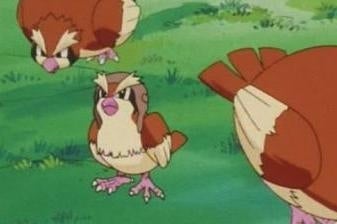 Pokémon Go Betrüger beschweren sich, dass sie mit Pidgeys bestraft werden
