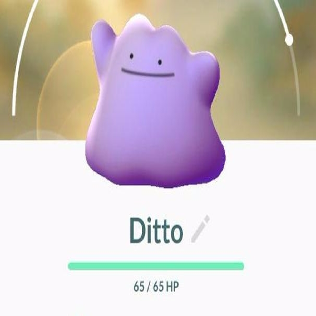 Pokémon GO BR on X: 🔍 Procurando Ditto como se não houvesse