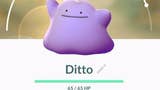 Pokémon Go Ditto: hoe Ditto vangen, shiny Ditto en welke Pokémon Ditto kunnen zijn uitgelegd