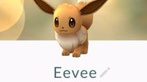 Pokémon Go Eevee evolueren naar Sylveon, Leafeon, Glaceon, Umbreon, Espeon, Vaporeon, Jolteon en Flareon