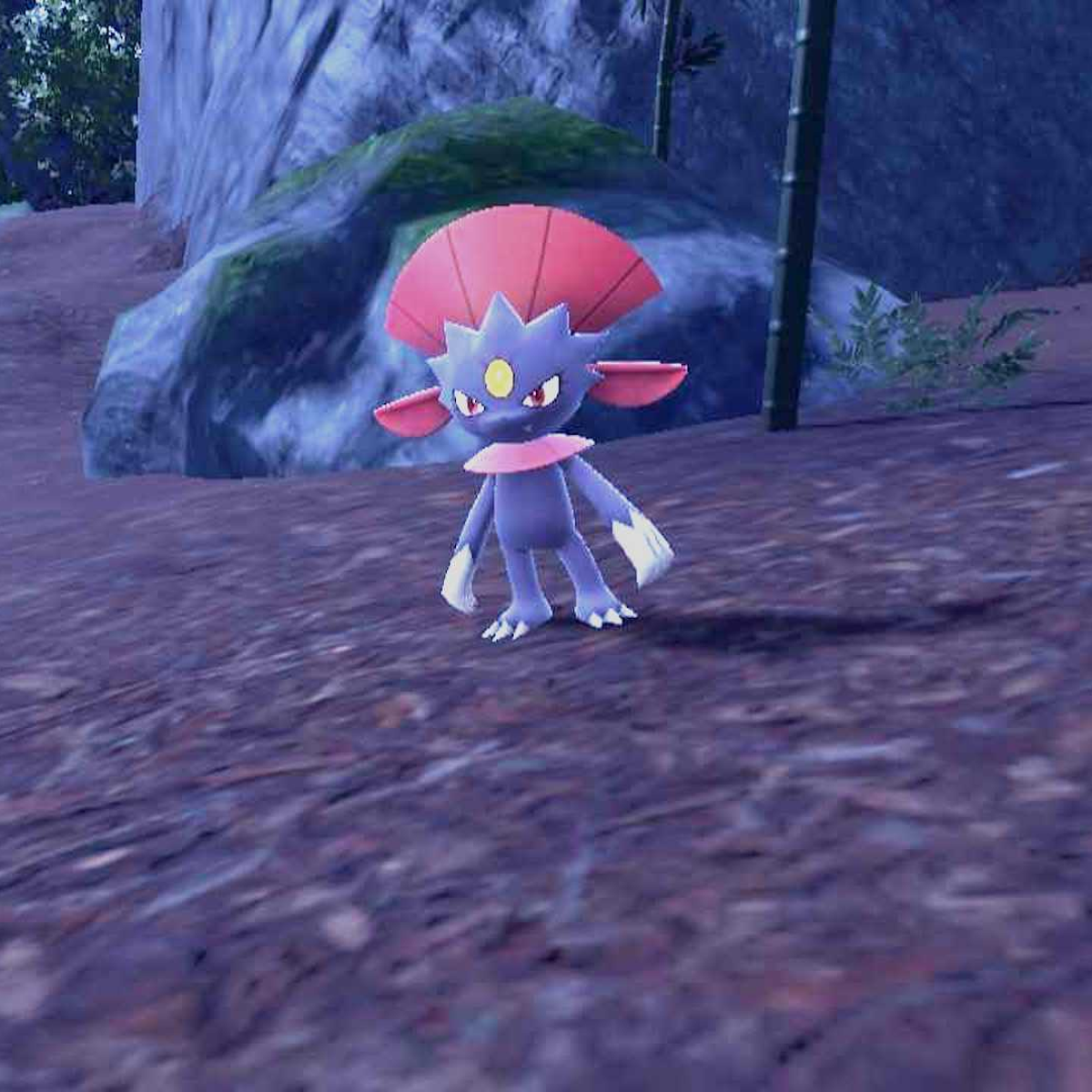 Sneasel Evolution Chart