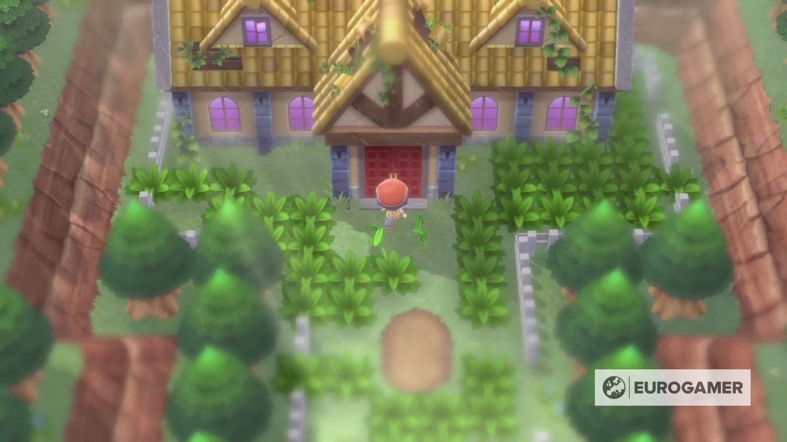 Eterna Forest and Old Chateau Pokémon, trainers and items in Pokémon